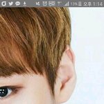 [워너원] 설마이거 <b>셰</b>딩이냐?ㅅㅂ