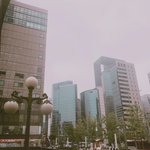 [댓글부탁해] 쌍수 <b>매몰</b> 실밥제거 안하지??
