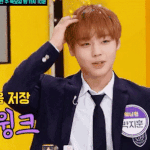 [워너원] <b>누나</b> 전두엽도...부탁해 ((짤있음))