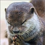 [댓글부탁해] 얘둘아 노래 추천좀 해주라..제발 너무급해