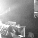 [BAP] 뭐야 이거 도대체