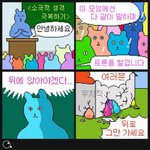 베라 써리원데이 주<b>문어</b>케해