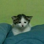 [드루와] 셀카 <b>장인</b> 있냐ㅠㅠ