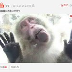 [EXO] 아 이건 볼때마다 개쳐웃기네