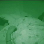 [워너원] 여기서 <b>발림</b> 포인트는