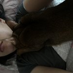 [고양이] 초코<b>쿠키</b>네2