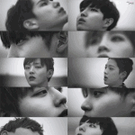 [워너원] 얘들아 이거 윙 까글인데 신고 한번씩만해줘