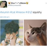 [시우민] <b>외국</b><b>팬</b>들 이런건 도대체 어디서 찾은거야?ㅋㅋㅋ