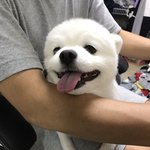 [조언부탁해] 친구들이랑 놀러가는데 학원쌤이 같이<b>가제</b> ㅅㅂ