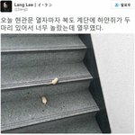 [드루와] <b>미드</b> 추천해 주실분~~~!