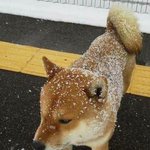 [댓글부탁해] 너네 웜톤이야 <b>쿨톤</b>이야???