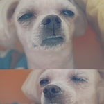 ㅁㅊ 나 꿈에서 박명수 나옴ㅋㅋㅋㅋㅋㅋㅋㅋㅋㅋㅋ