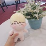[세븐틴] ㅅㄷ) 애들 <b>인형</b>