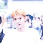 [세훈] 170721 뮤뱅 <<b>외출</b>2&amp;재출근2> 고화질3