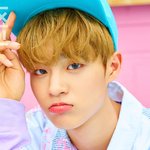 [워너원] 근데 <b>대휘</b> 이사진은 걍 줫나 귀얍지 않냐 ㅜㅜ