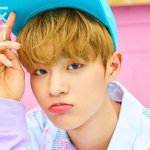 [워너원] 살아 남은 사람들