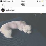 [EXO] 훈스타<b>그램</b> 2