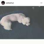 [세훈] 170801 훈스타<b>그램</b>2