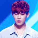 [워너원] 목요일 저녁에 팬톡 놓치면 복습불가능함ㅋㅋㅋㅋㅋㅋ