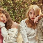 [드루와] 카드 아는 사람ㅠㅠ