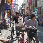 [드루와] 다이어트 자극받고 싶은 판녀들