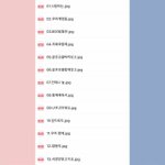 [세븐틴] 얘들아 카턱 <b>배사</b>로해놔!!