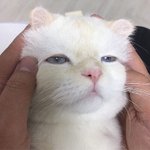 <b>우왕</b> 대박신기