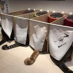 [경수] 이치란 <b>라멘</b>