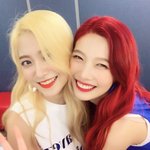 [드루와] 애들아 애들아 과즙상vs고급지게 예쁜상 중에 개취뭐야...