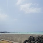 [드루와] 사진 조금 잘 찍은 것 같지 않냐(기대기대