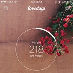 [세븐틴] ㅅㄷ 아침부터 애들 데뷔 800일에 신났는데