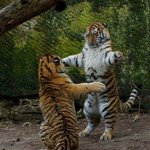 얘들아 예고 <b>무용</b>과