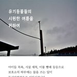 [해피빈] 유기동물들에게 시원한 여름을..