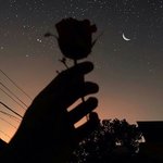 [댓글부탁해] 새벽에 듣기 좋은 노래 추천 좀