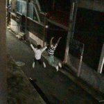 [워너원] 아ㄲㅋㅋㄱㅋㅋㅋㄱ개졸커