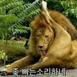 [나부터시작] ++++다이어트 꿀팁 ++++