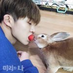 [아이콘] 우리 애들 보고싶다ㅠ