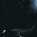 [EXO] 고래 못<b>잊어</b>