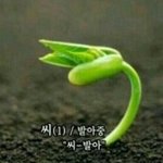 초딩들 왤케 꼴보기 싫냐