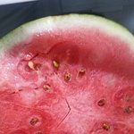 [댓글부탁해] 이거 <b>수박</b> 모자이크병 맞지?ㅠㅠ