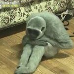 [드루와] <b>이화</b>여대 정말 가고싶다