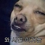 [개깊은빡침] 구린 왁<b>싱샵</b> 가지마라...