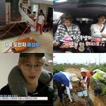 [워너원] 와 옹...<b>운전</b>하는 남자... 예에....
