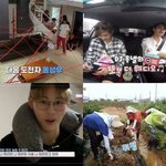 [워너원] <b>귀농</b>하는애들 ㅅㅂㅋㅋㅋㅋㅋㅋㅋ