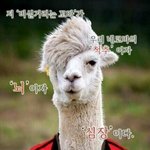 입술 <b>도톰</b>한애들 부럽다
