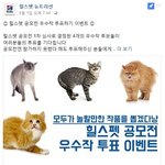 페북 투표 이벤트 <b>힐스</b>펫 공모전이에요~