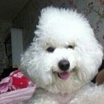 [드루와] <b>여중</b> 공학 둘 다 다녀봄 16여 질받