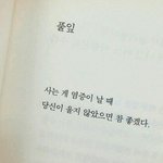 [댓글부탁해] 나 백씨인데 이름 좀 지어<b>주랑</b>..