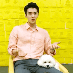 [EXO] <b>님</b>들 이영상어디서봐요??