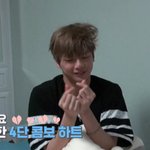 [워너원] 오늘 녤이에 대해 알게된점